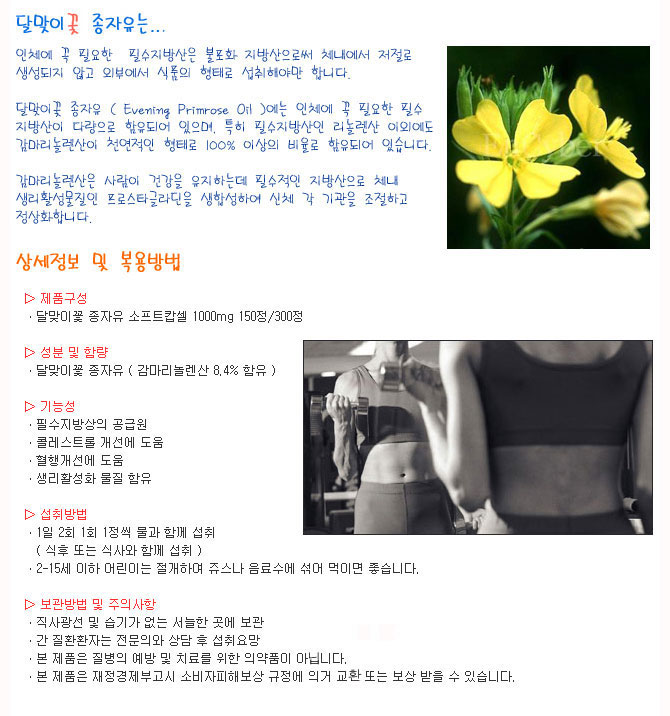 감마리놀렌산