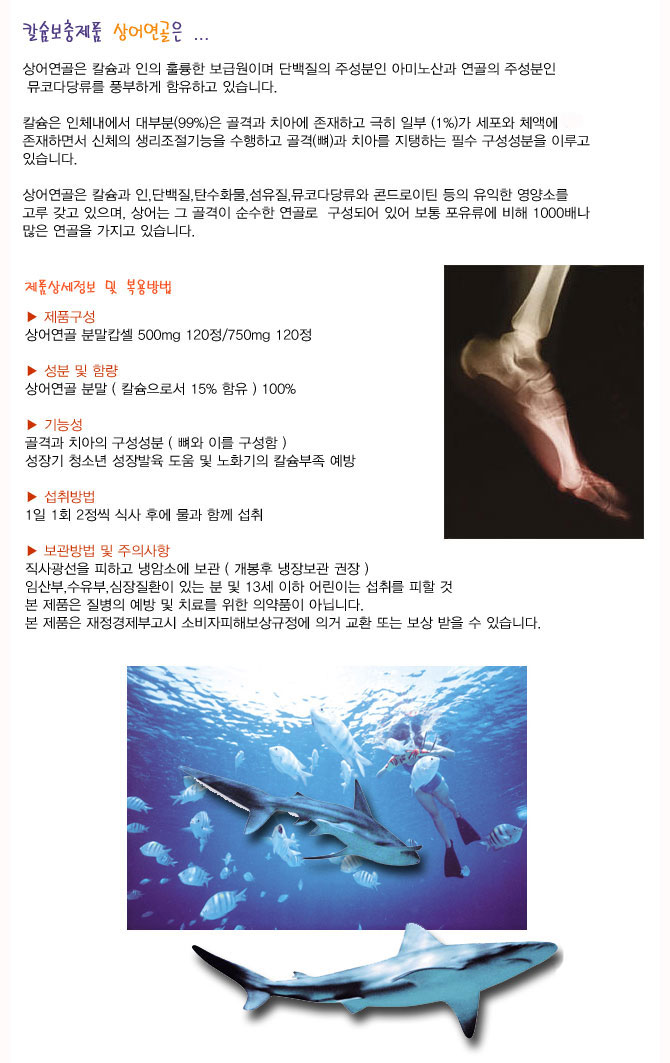 상어연골